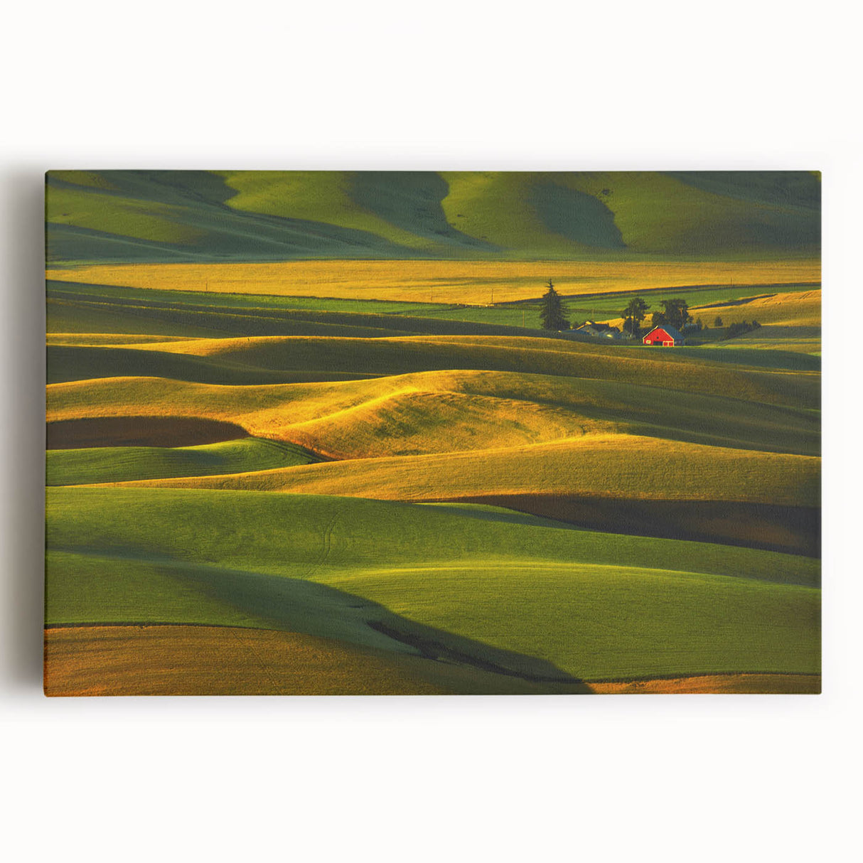 Black and white photograph of Palouse hills on stretched canvas, ideal for kitchen wall art.
