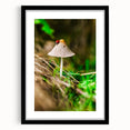 Extra large abstract art print featuring vibrant spring colors and textured design on a black framed canvas.