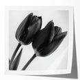 Glossy floral and botanical photo print mockup set displayed on a wooden table, showcasing vibrant colors and intricate details of nature-inspired designs.