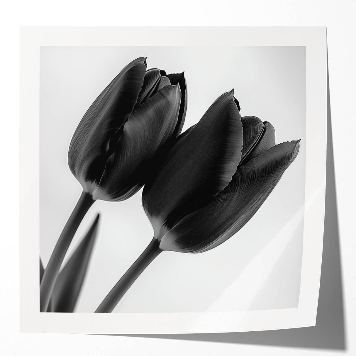 Glossy floral and botanical photo print mockup set displayed on a wooden table, showcasing vibrant colors and intricate details of nature-inspired designs.