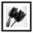 Floral and botanical frame design in matte black, showcasing intricate leaf patterns and elegant detailing, perfect for enhancing home decor aesthetics.
