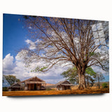 Large abstract wall art featuring a Madagascar scenery in muted earth tones on acrylic glass.