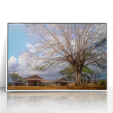 Framed acrylic print depicting a Madagascar scenery in mid-century modernist style, using muted earth tones.