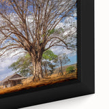 Extra large framed canvas featuring a textured depiction of Madagascar scenery in black with colorful art accents.