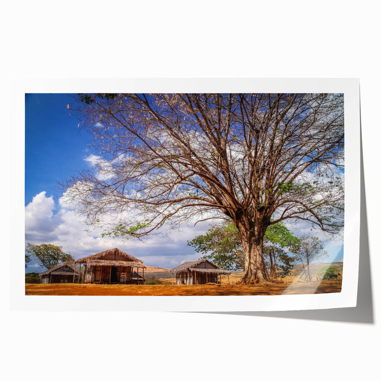 Extra large rolled print depicting a Madagascar landscape with vibrant greens and earth tones.