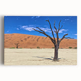 Black and white photograph of a Namibian landscape on large stretched canvas, suitable as kitchen wall art.