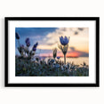Abstract art print depicting vibrant, colorful scenery of Manitoba in a black framed mat.