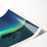 Extra large rolled print depicting line art flowers in muted earth tones, ideal for large living room wall art.