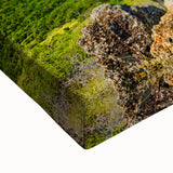 Large art of Antigua landscape in black and white on stretched canvas, suitable for bedroom wall decor.