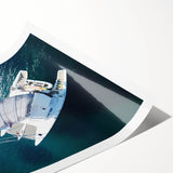 Extra large wall art depicting line art flowers in subtle hues, printed on a rolled canvas.