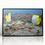 Large abstract wall art depicting a Caribbean scenery in vibrant blue and green hues on a framed acrylic.