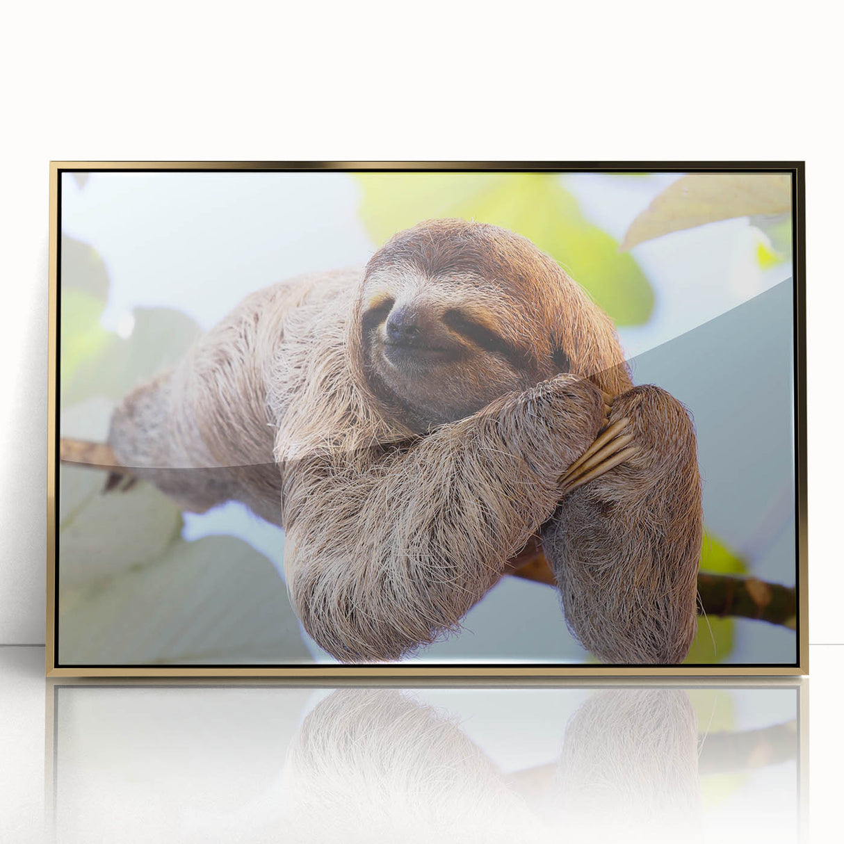 Large art print of a Costa Rican landscape in muted green and blue tones, framed in gold acrylic.