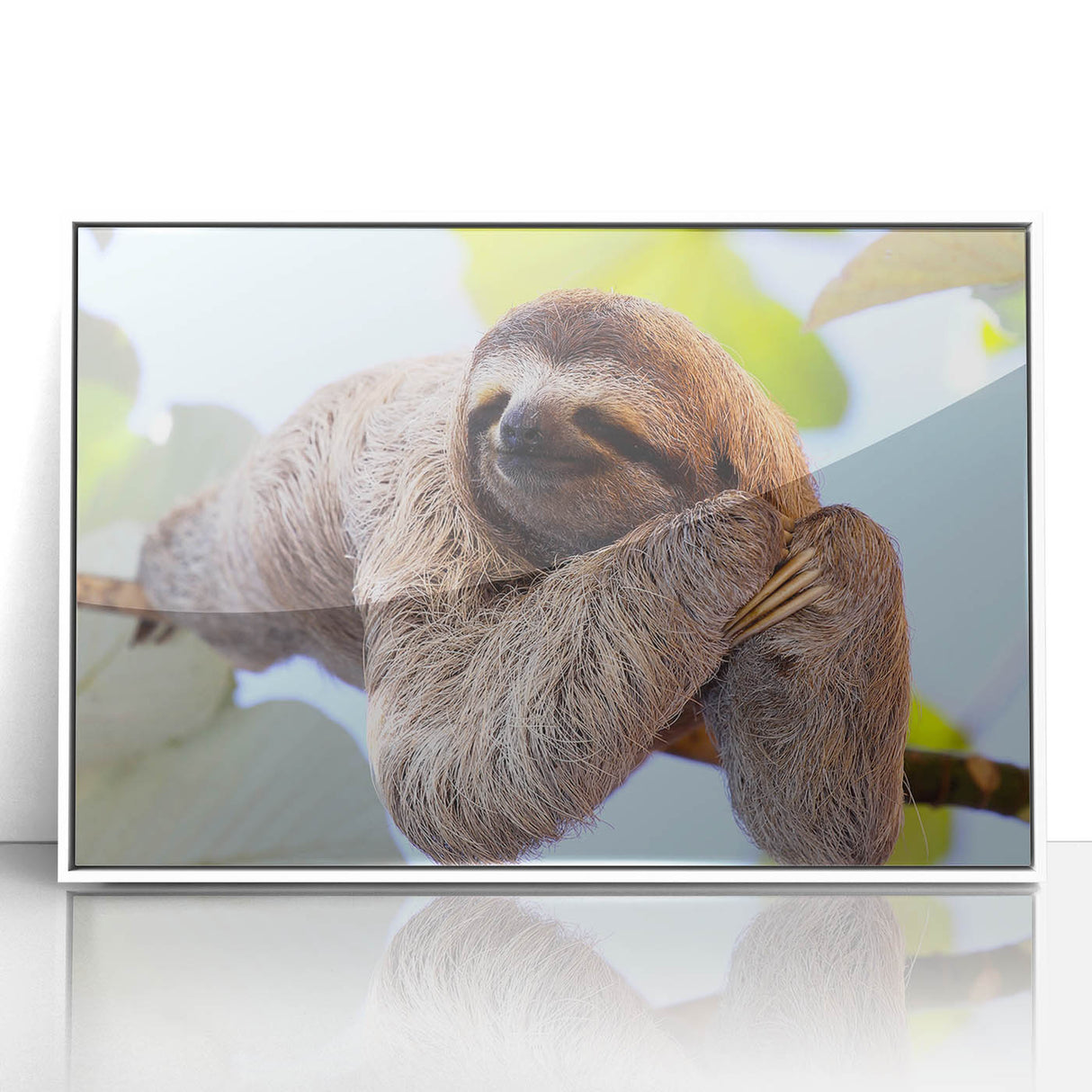 Acrylic print of a Costa Rican landscape in art deco style, framed in white, suitable for modern nursery decor.