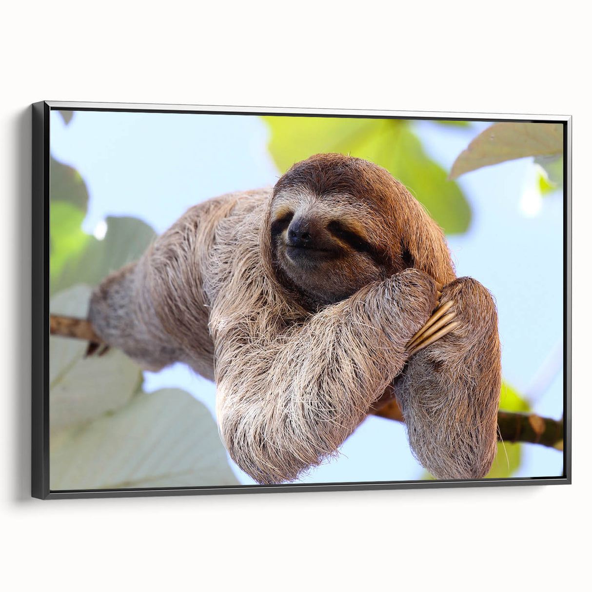 Black and white framed canvas of a vintage Costa Rican landscape, ideal for bedroom wall art.