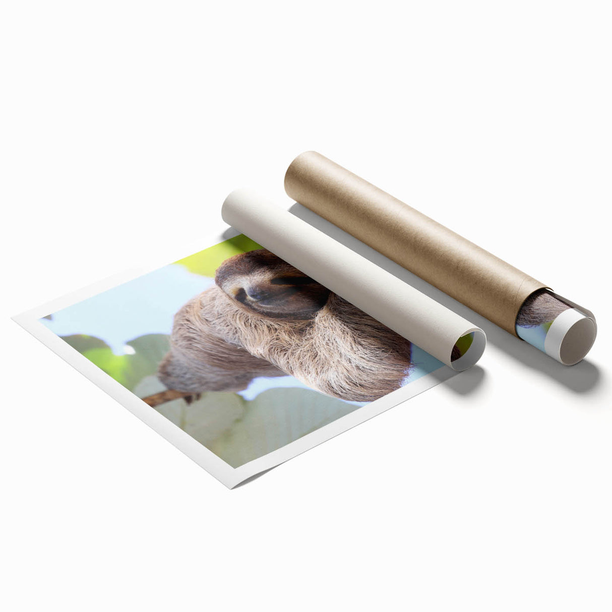 Extra large rolled print featuring a vibrant floral scene in Costa Rica, ideal for classy bathroom wall art.