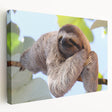 Large stretched canvas displaying a vibrant Central American landscape, perfect for kitchen wall art.