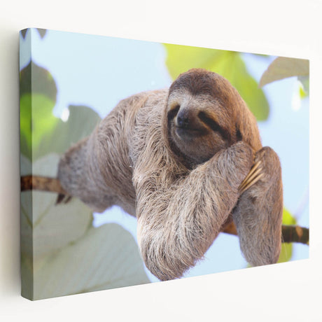 Large stretched canvas displaying a vibrant Central American landscape, perfect for kitchen wall art.