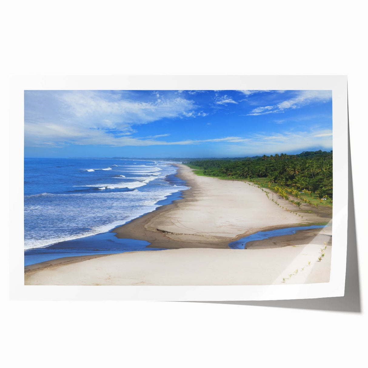Extra large rolled print of a Nicaraguan landscape with lush greenery and flowers, ideal for art wall dining room.