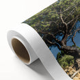 Art Deco poster of Provence landscape on rolled canvas, featuring pastel hues, ideal for nursery wall art or dining room.
