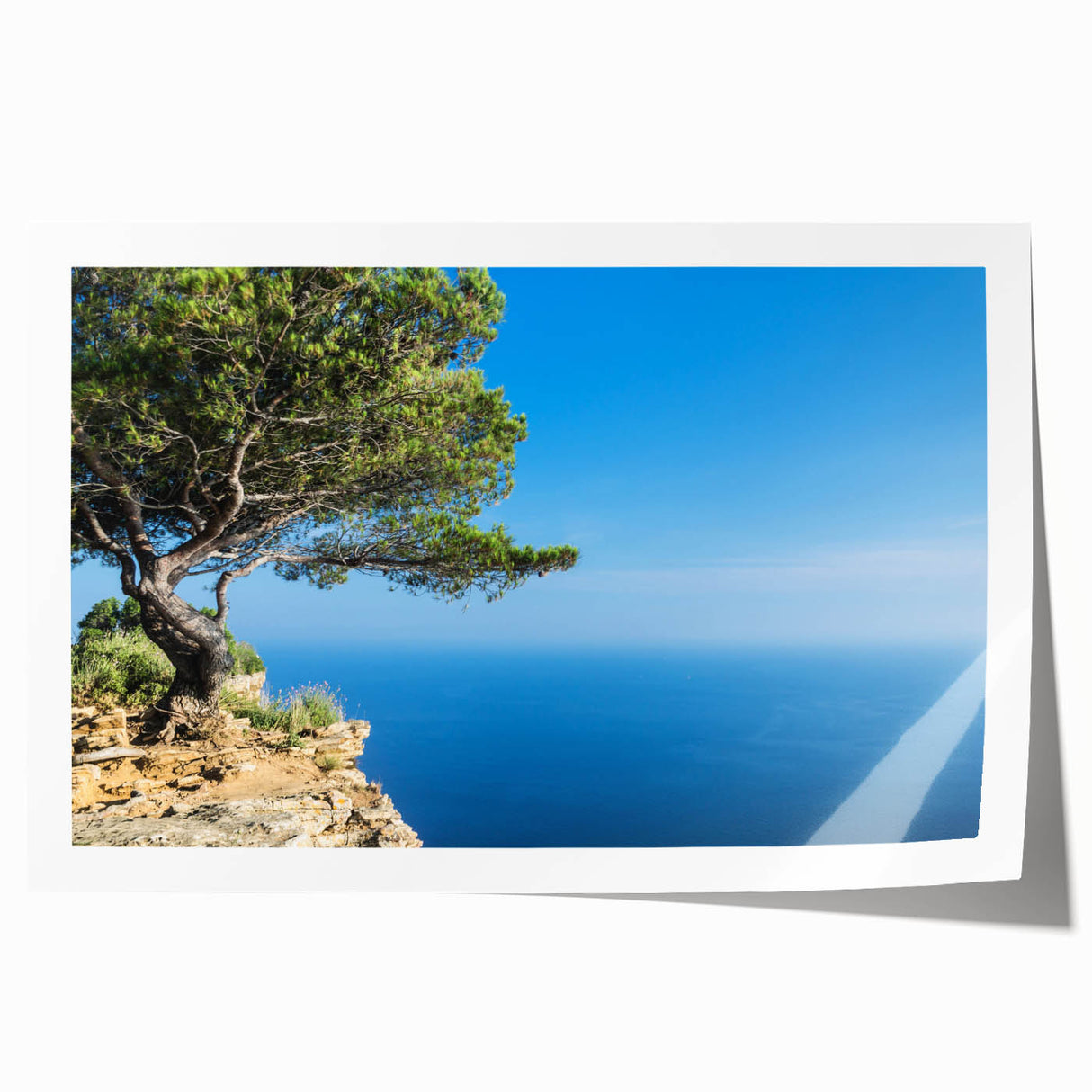 Rolled print of Provence scenery with lush floral foreground and soft pastel colors.
