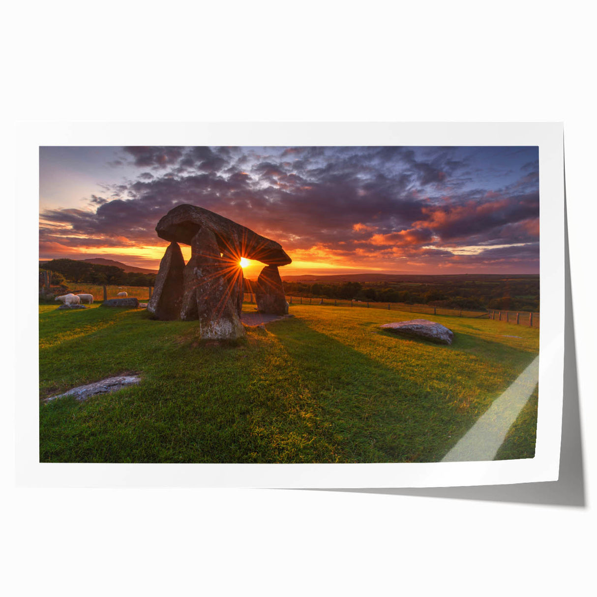 Extra large rolled print depicting vibrant floral scenery in Wales, ideal for dining room wall art.
