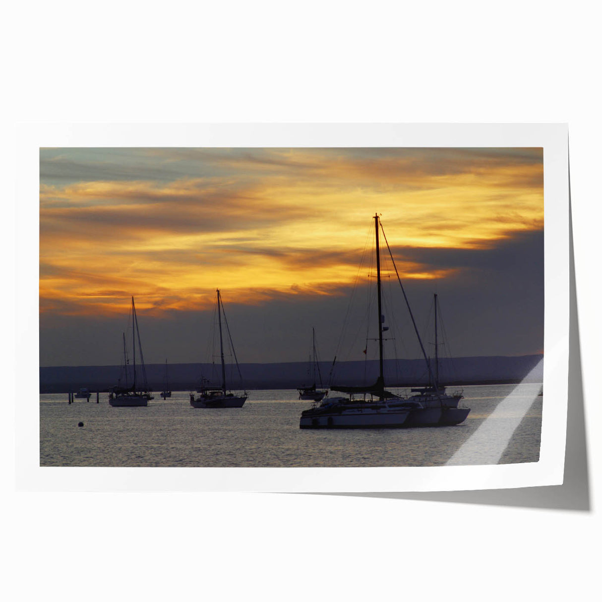 Extra large rolled print of Baja California scenery with vibrant floral elements, ideal for art wall dining room.