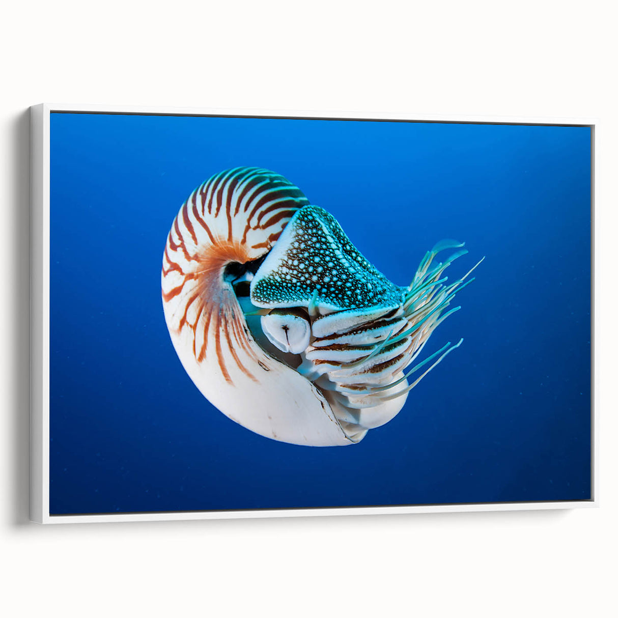 Vintage poster art of Micronesian scenery on a framed canvas, featuring vibrant colors, ideal for living room decor.