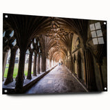 Acrylic print of a large abstract depiction of Canterbury, New Zealand in muted earth tones.