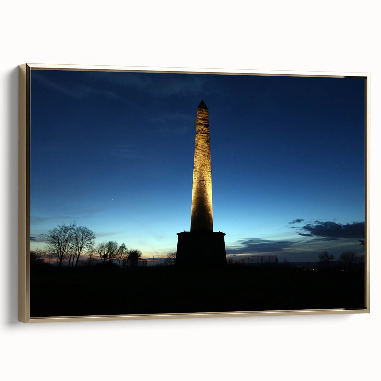 Framed canvas of Wellington, New Zealand landscape in vintage poster style with black and gold tones.