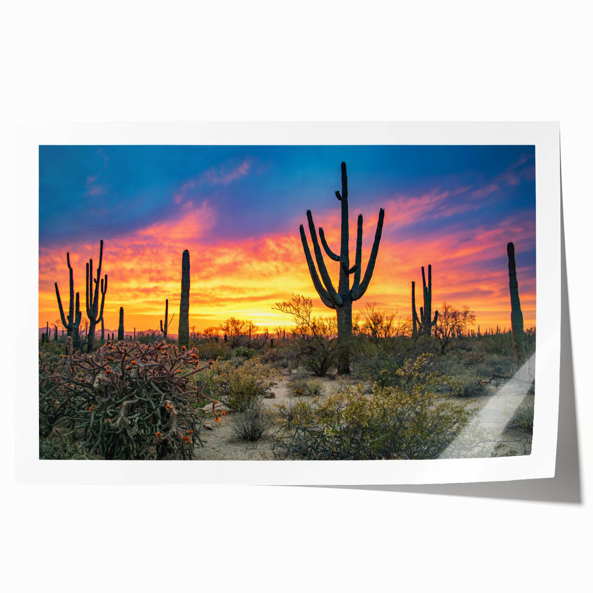 Extra large rolled print of Sonoran Desert scenery, featuring vibrant sunset hues, ideal for art wall dining room.