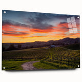 Acrylic print of the Napa Valley landscape in soft earth tones, ideal for dining room decor.