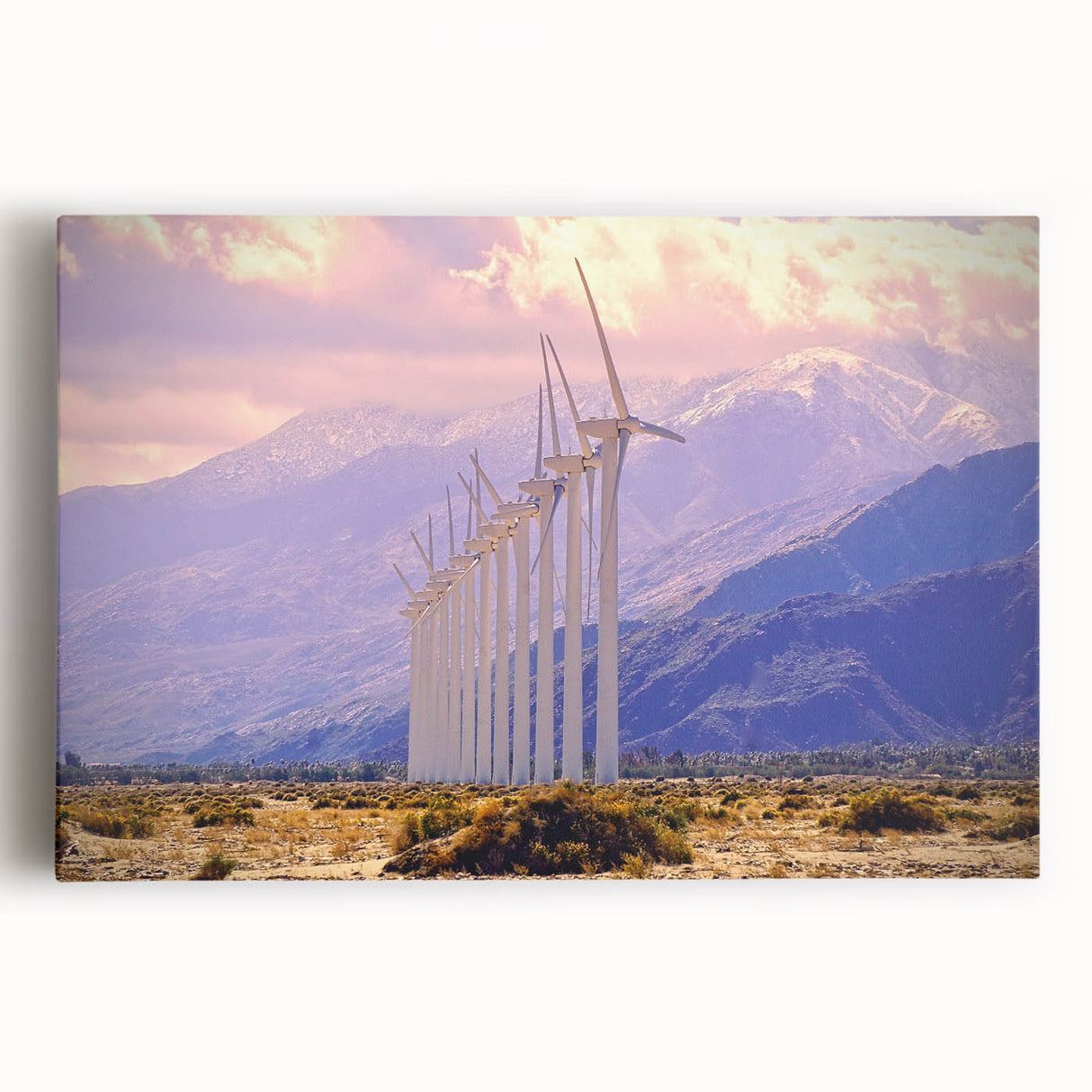 Black and white photograph of Palm Springs on stretched canvas, featuring palm trees and mountains.