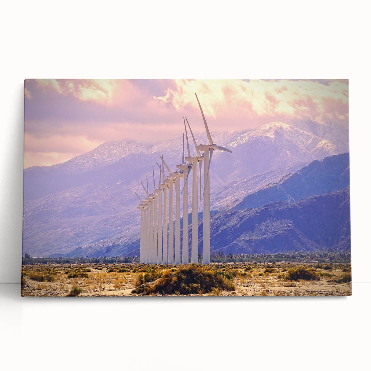 Black and white photo of Palm Springs scenery on large stretched canvas, suitable for kitchen wall art or bedroom.