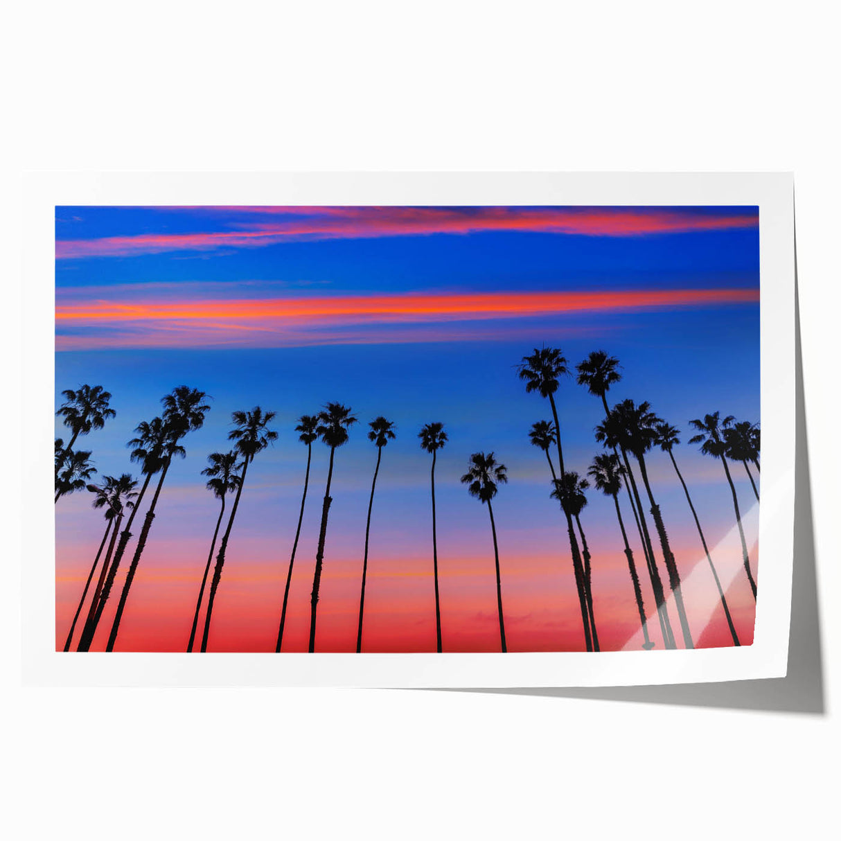 Rolled print of Santa Barbara scenery with floral elements in soft pastel shades, ideal for art wall dining room.