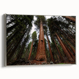 Framed canvas landscape art painting depicting a vintage-style California sequoia scene in colorful hues.