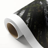 Art deco poster of California's Sequoia National Park in muted green and brown tones, ideal for nursery wall art.