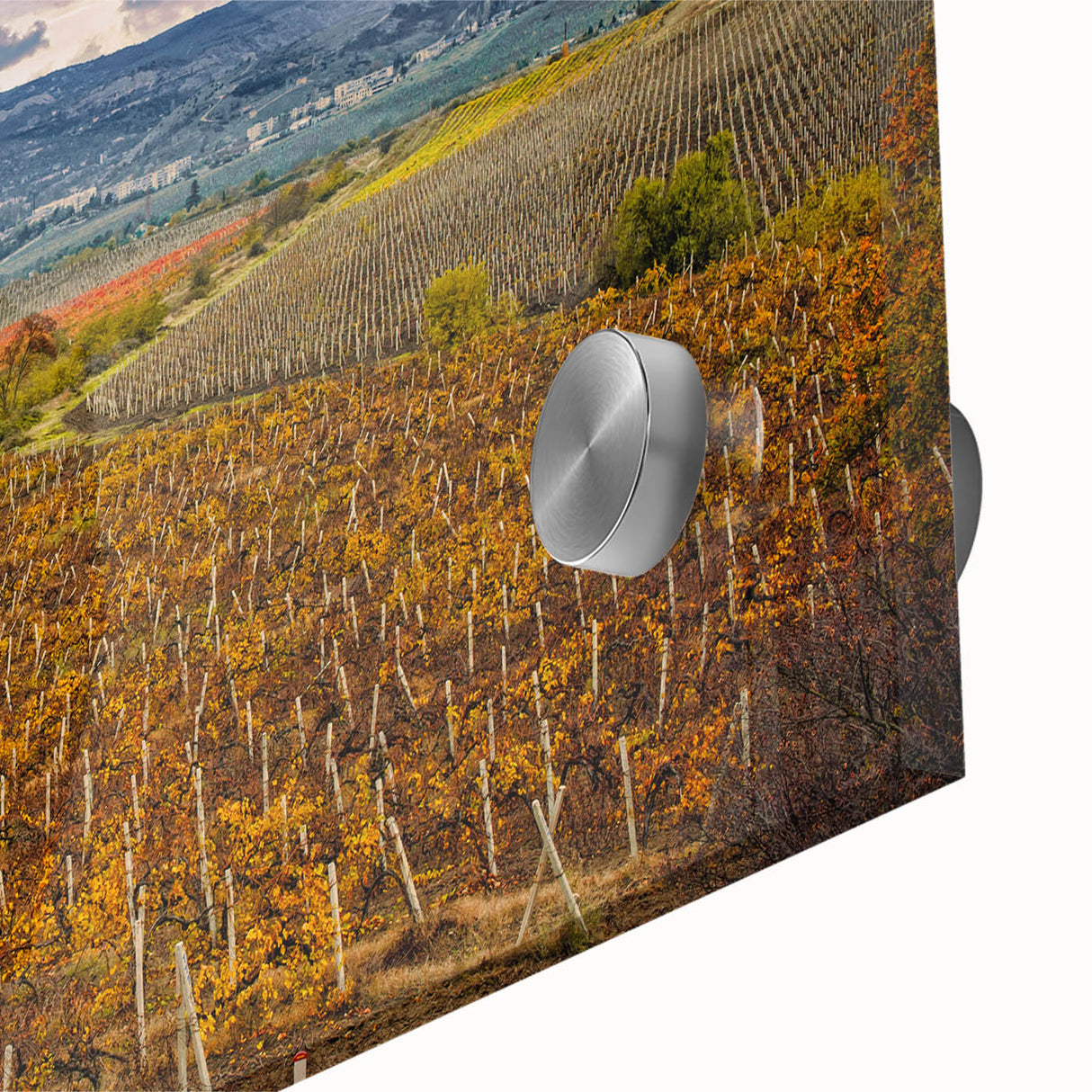 Large abstract wall art depicting the Sonoma landscape in muted earth tones on acrylic glass, suitable for dining room decor.
