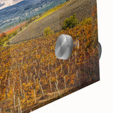 Large abstract wall art depicting the Sonoma landscape in muted earth tones on acrylic glass, suitable for dining room decor.