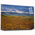 Large abstract depiction of California's Sonoma landscape in muted earth tones on acrylic glass.