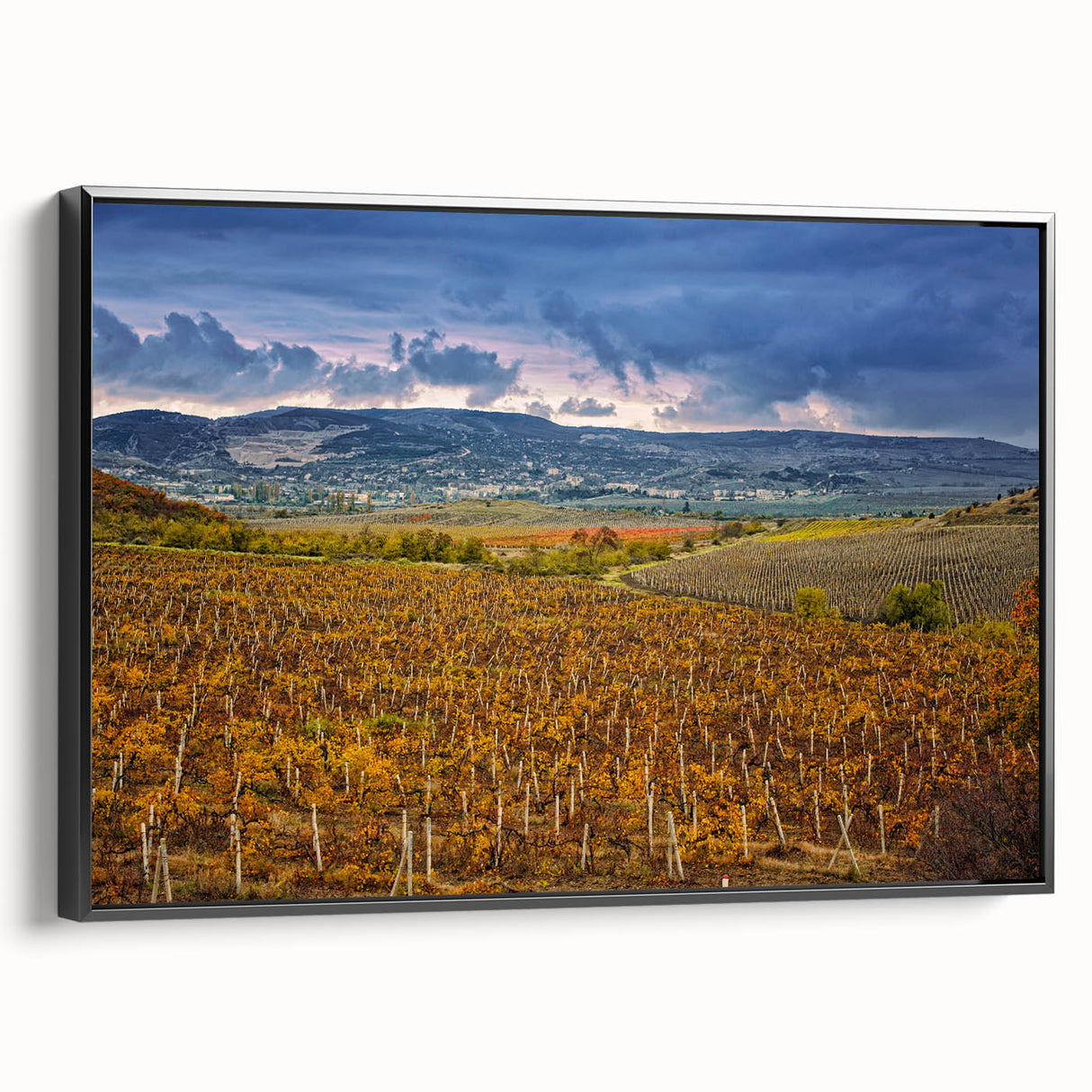 Black and white framed canvas of Sonoma landscape, ideal for bedroom wall art, featuring vintage poster style.