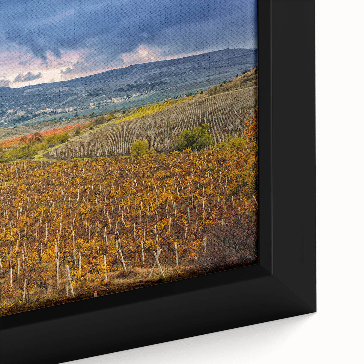 Extra large framed canvas wall art depicting a textured, colorful Sonoma, California landscape, ideal for living room decor.