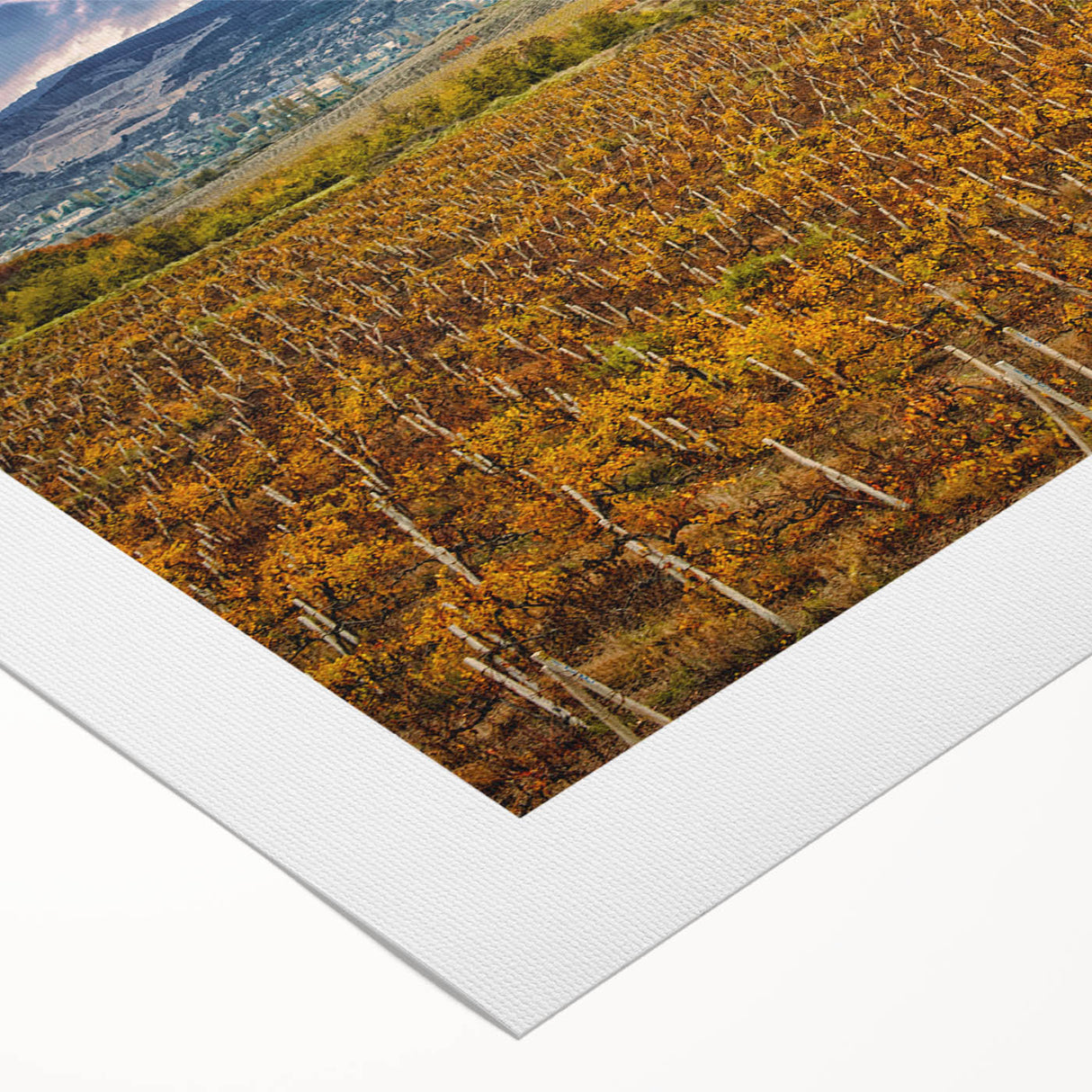 Art deco poster of Sonoma, California landscape in muted earth tones on rolled canvas, suitable for dining room wall art.