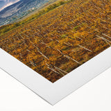 Art deco poster of Sonoma, California landscape in muted earth tones on rolled canvas, suitable for dining room wall art.