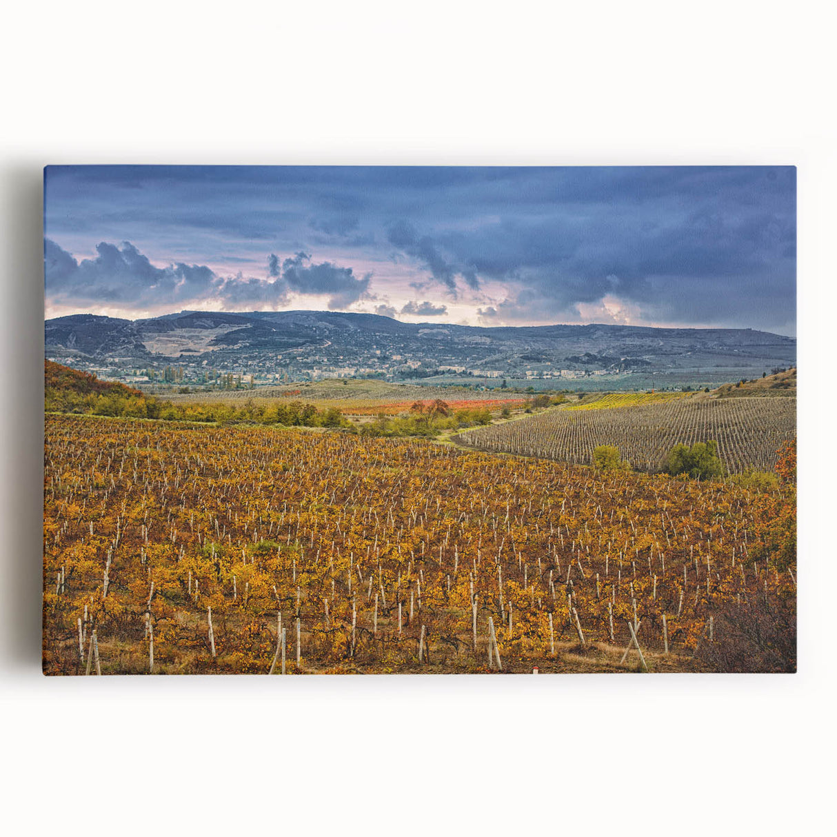 Landscape photograph of Sonoma, California in black and white on stretched canvas, ideal for kitchen art.