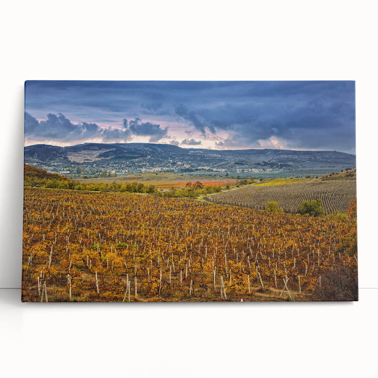 Black and white image of Sonoma landscape on large stretched canvas, suitable for kitchen or bedroom decor.