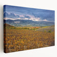 Sonoma, California landscape on stretched canvas, featuring muted earth tones, ideal for kitchen wall art.