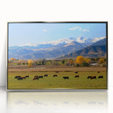 Mid-century modernist art depicting Boulder, Colorado landscape in muted earth tones on a silver-framed acrylic print.