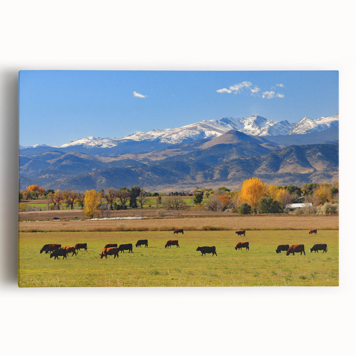 Black and white photograph of Boulder, Colorado scenery on large stretched canvas, suitable for kitchen wall art.