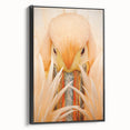 Black and white framed canvas depicting a vintage-style Everglades landscape, ideal for bedroom wall decor.