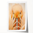 Rolled print of the Everglades with detailed greenery and water reflections, ideal for art wall dining room.